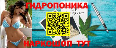 мдпв Янаул