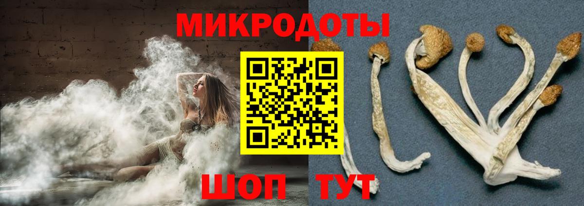Псилоцибиновые грибы Psilocybe  Галлюциногенные грибы Psilocybe  Вход с VPN  Альметьевск 